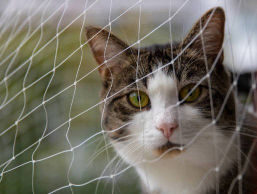 Pet safety net installation on a balcony